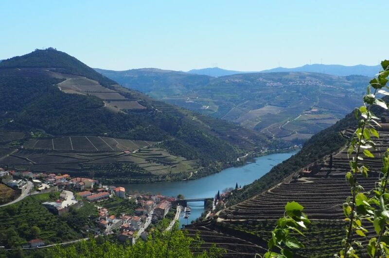 From Porto: Douro Valley Wine Tour with River Cruise & Lunch - FAQ