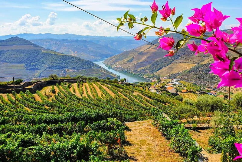 From Porto: Douro Valley with Wineries, Lunch and Boat Trip - Key Points