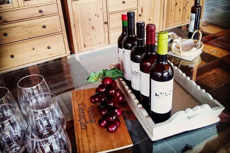 From Porto: Douro Valley with Wineries, Lunch and Boat Trip - An Overview of the Tour