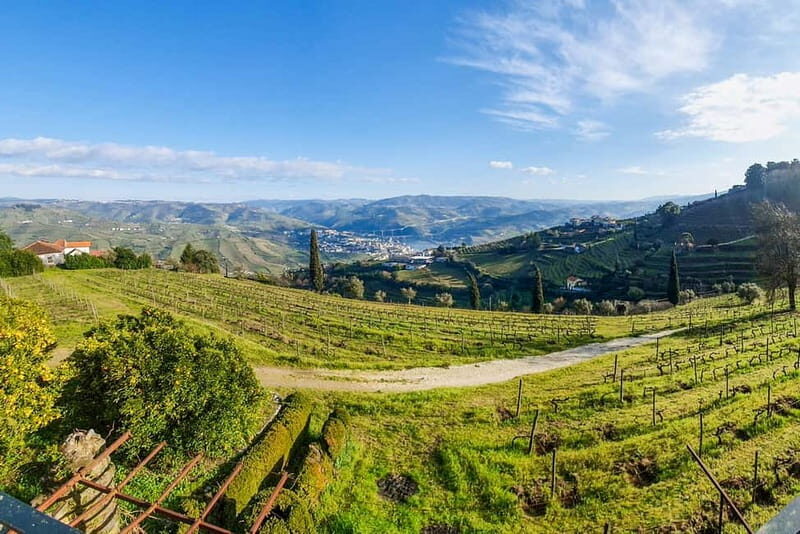 From Porto: Douro Valley with Wineries, Lunch and Boat Trip - Who Should Consider This Tour?