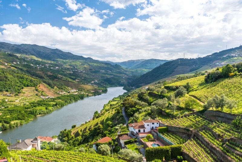 From Porto: Full-Day Douro Historical Tour - Exploring the Route and Highlights
