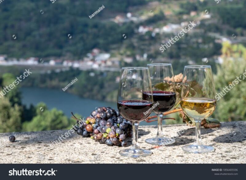 From Porto: Full-Day Douro Historical Tour - Who Is This Tour Best Suited For?