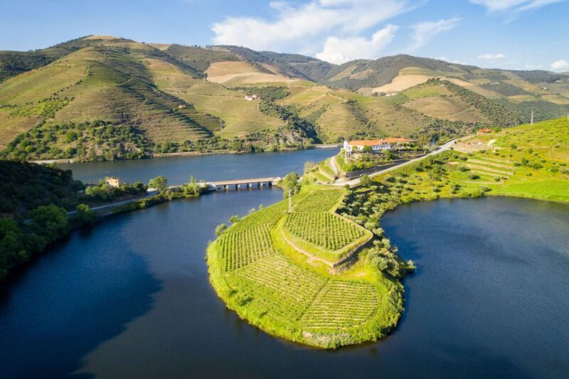 From Porto: Full-Day Douro Valley Trip - Who Would Enjoy This Experience?