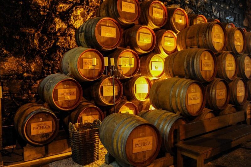 From Porto: Full-Day Douro Valley Trip - Final Thoughts