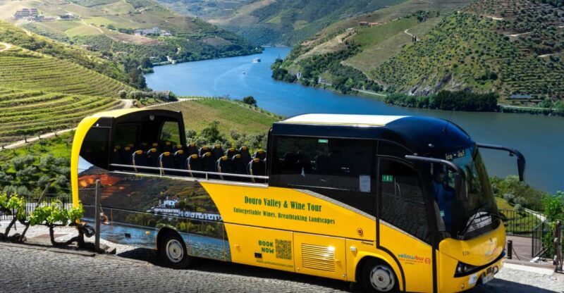 From Porto: Full-Day Douro Valley & Wine Tour with Lunch - Authentic Traveler Insights