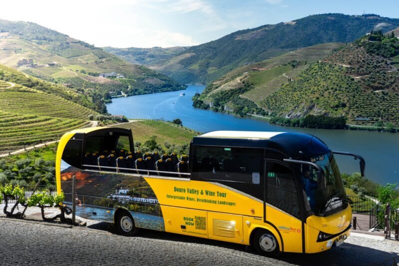 From Porto: Full-Day Douro Valley & Wine Tour with Lunch - Final Thoughts
