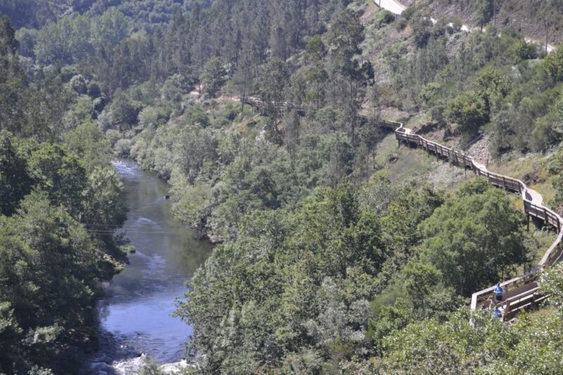 From Porto: Full-Day Paiva Walkways Tour with DOP Beef lunch - The Experience in Detail