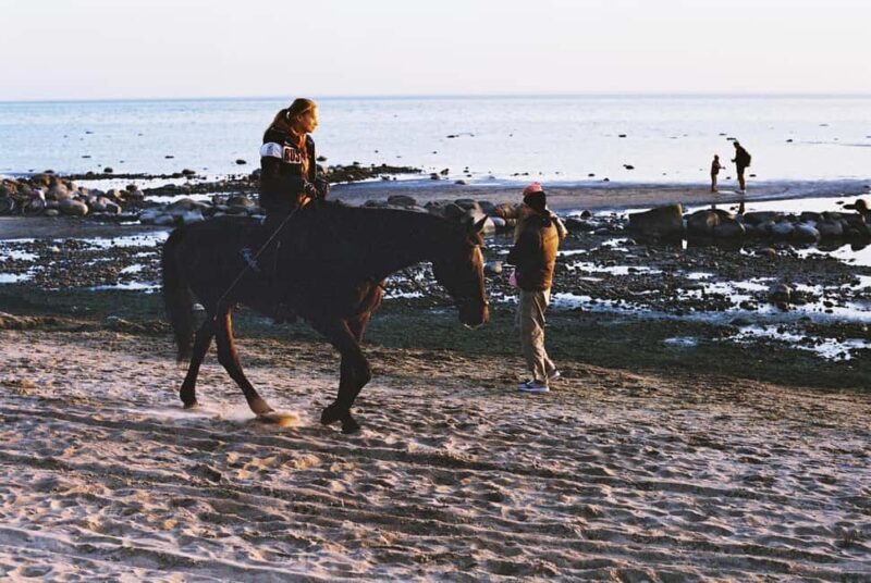 From Porto: Full Day Private Beach Ride + Brunch + Pick-Up - What Makes This Tour Special?