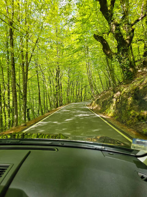 From Porto: Full-Day Tour in Gerês National Park - An Introduction to Gerês National Park