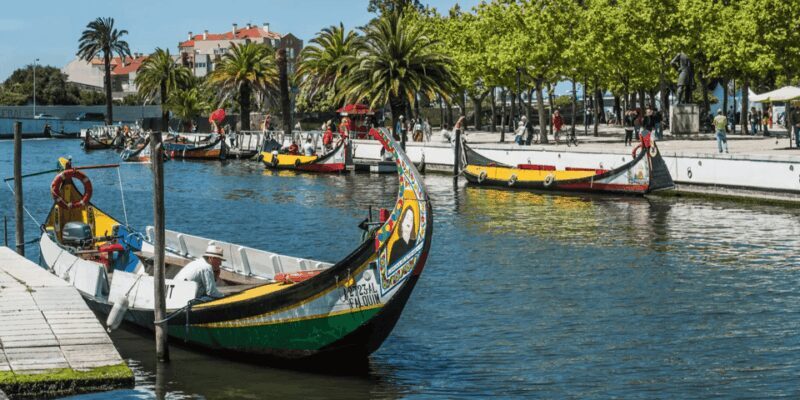 From Porto: Full-Day Trip to Coimbra & Aveiro with Boat Ride - An In-Depth Look at the Tour