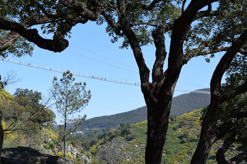From Porto: Guided Tour of the 516 Arouca Suspension Bridge and Paiva Walkways - The Experience Through the Eyes of Travelers