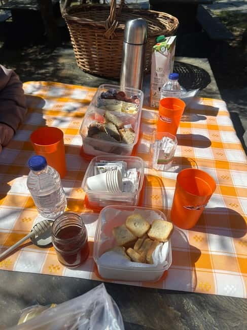 From Porto: Jeep Tour Ponte 516 Arouca + Vale do Paiva - A Deep Dive into the Experience