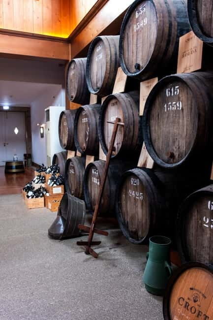 From Porto: Nature and Wine tasting Full-Day Tour - Key Points