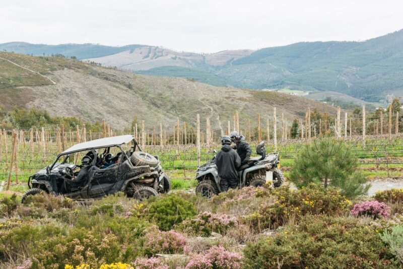 From Porto: Off-Road Buggy Adventure - Key Points: