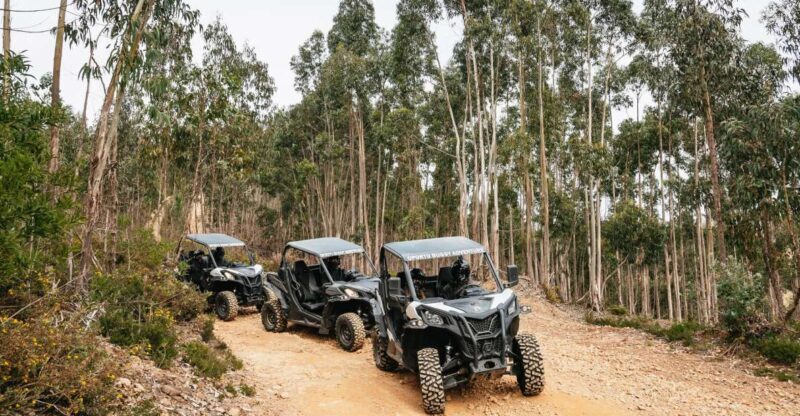From Porto: Off-Road Buggy Adventure - An In-Depth Look at the Porto Off-Road Buggy Adventure