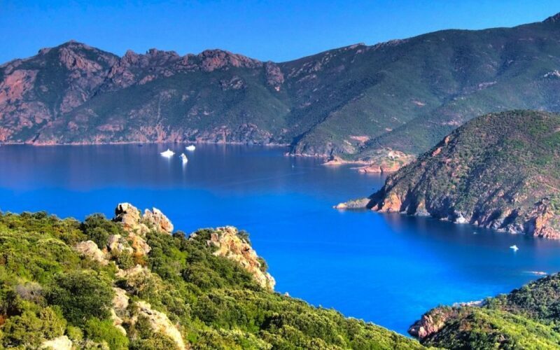 From Porto: Piana Creeks and Scandola Semi-Rigid Boat Tour - Practical Details