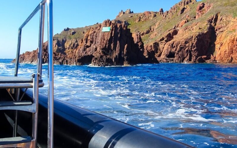 From Porto: Piana Creeks and Scandola Semi-Rigid Boat Tour - Who Will Love This Tour