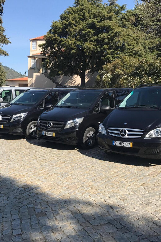 From Porto: Premium Douro Valley Small-Group Wine Tour - Exploring the Douro Valley in Style