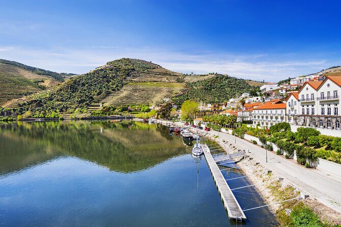 From Porto: Private Douro Valley Tour - Exploring the Douro Valley with a Private Tour from Porto