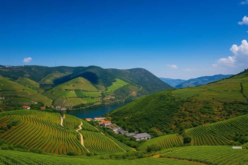 From Porto: Private Douro Valley Tour, Tasting, Boat, Lunch - Key Points