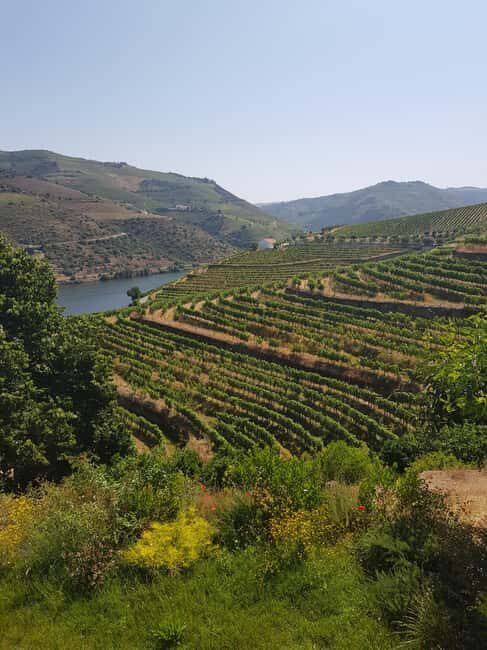 From Porto: Private Douro Valley Tour, Tasting, Boat, Lunch - The Real Value of This Tour