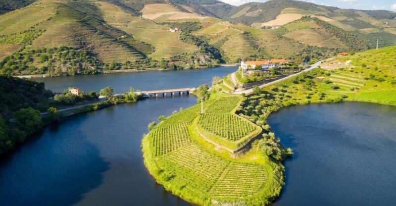 From Porto: Private Douro Valley Tour with Booking Service - Final Thoughts