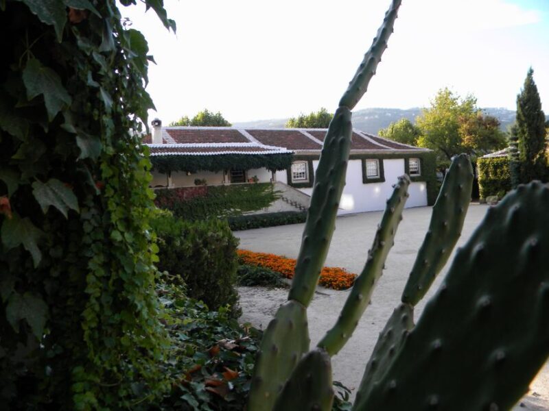 From Porto: Private Douro Valley Tour with Booking Service - FAQ