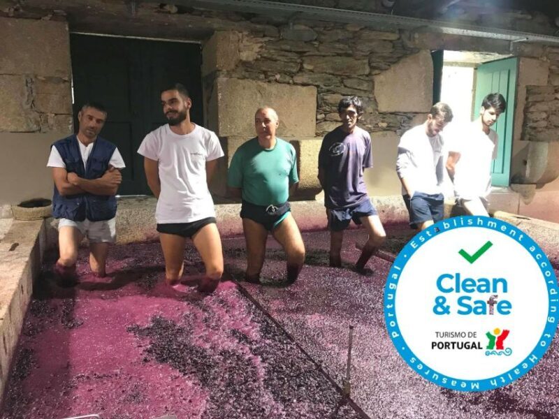 From Porto: Private Douro Valley Tour with Cruise and Wine - Final Thoughts