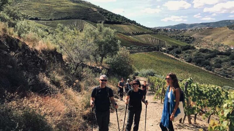 From Porto - private experience to Niepoort - Exploring the Niepoort Experience from Porto: A Detailed Look