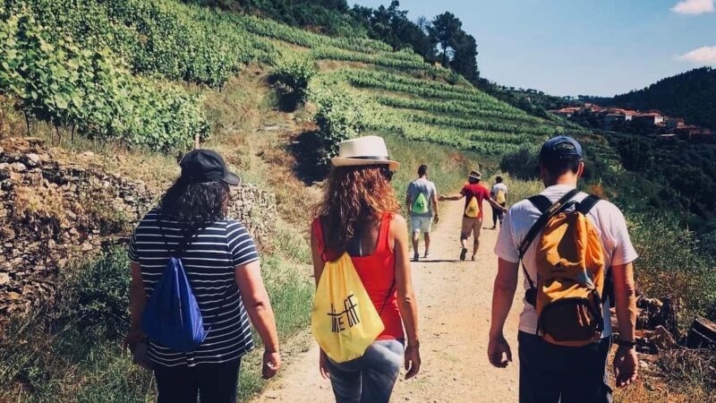 From Porto - private experience to Niepoort - What’s Worth Noting