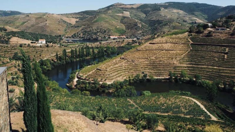 From Porto - private experience to Niepoort - Final Thoughts