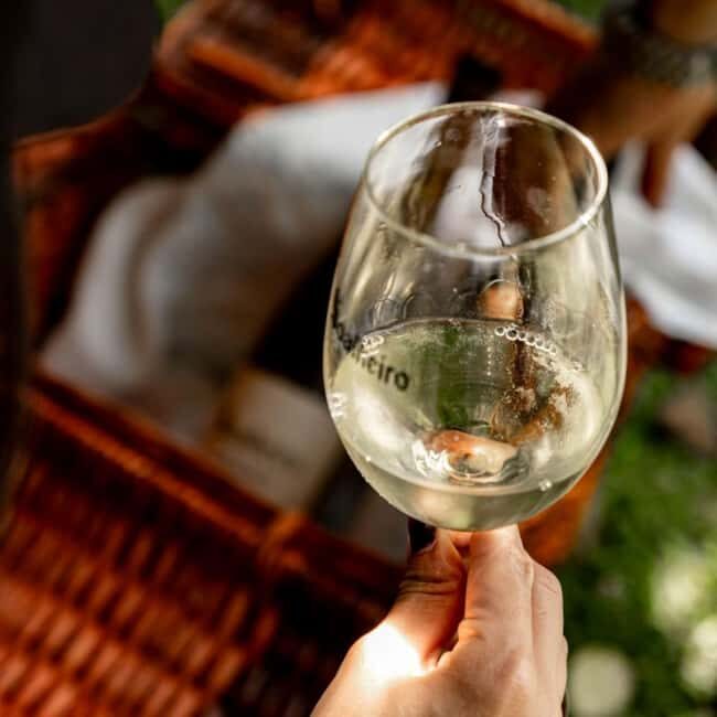 From Porto: Private Vinho Verde wine tour with tasting, lunch, and palace visit. - Discovering the Vinho Verde Region