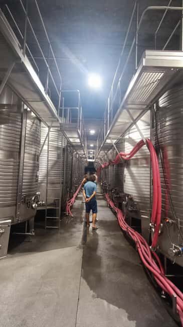 From Porto: Private Vinho Verde wine tour with tasting, lunch, and palace visit. - More Wine Tasting and Final Stop