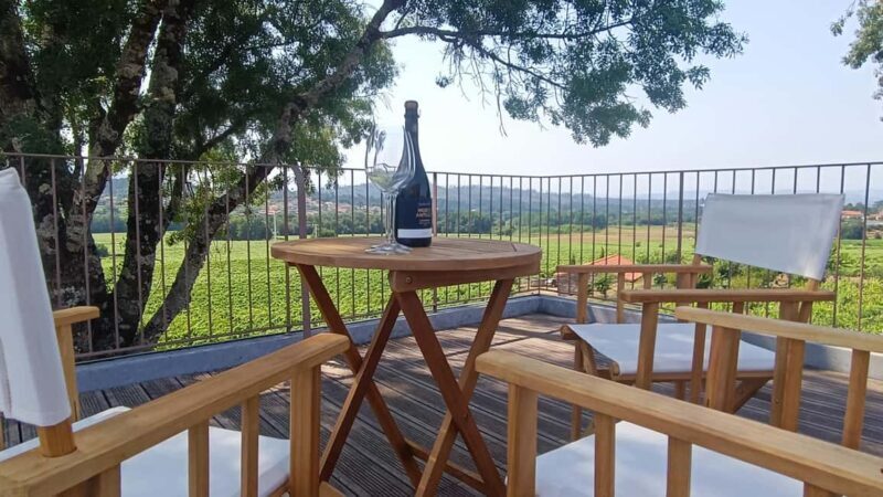 From Porto: Private Vinho Verde wine tour with tasting, lunch, and palace visit. - Who Is This Tour Best For?