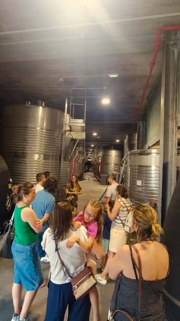 From Porto: Private Vinho Verde wine tour with tasting, lunch, and palace visit. - FAQs