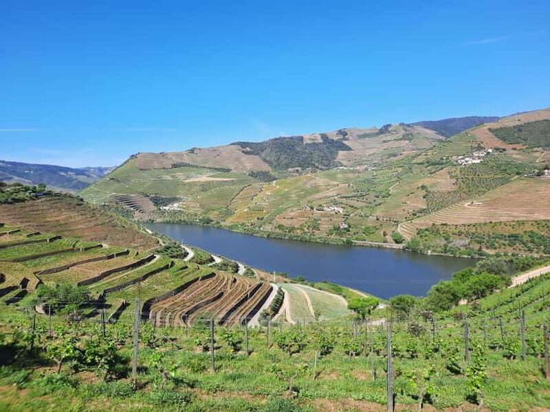 From Porto: small-group guided tour of the Douro Valley and Gerês - Is This Tour Worth It?