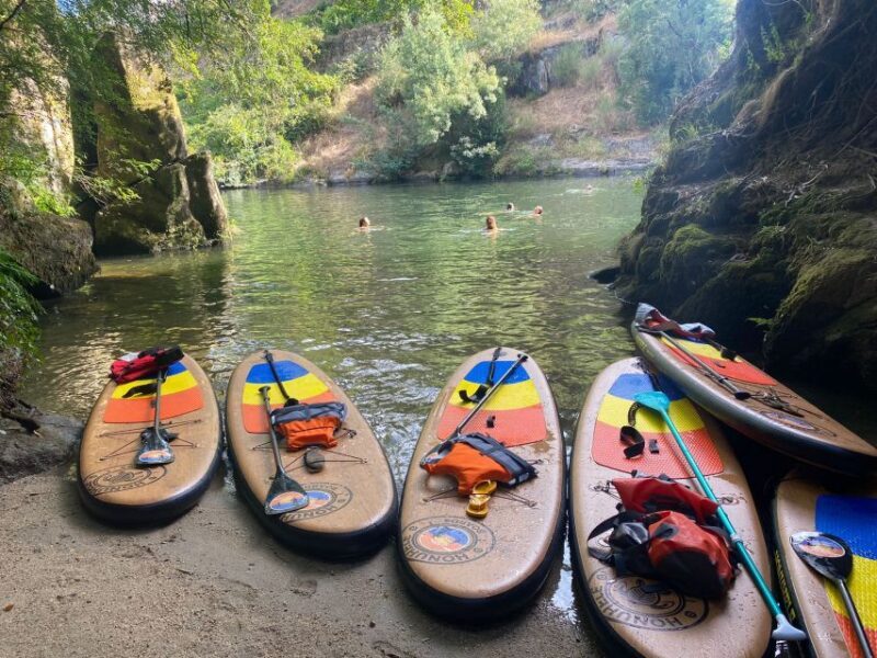 From Porto: SUP Paiva River Tour with Transfer - Key Points