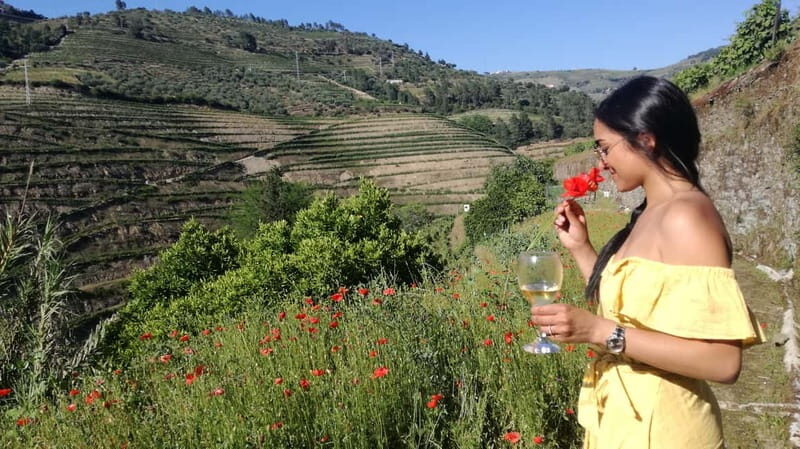 From Porto: Tastings at 2 Wineries, Chef's Lunch & Boat Tour - Discovering the Douro Valley: A Detailed Look at the Porto Day Trip