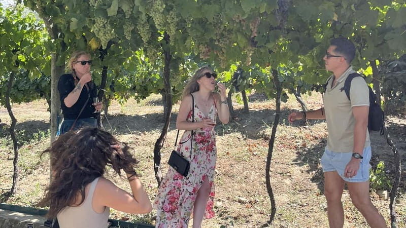 From Porto: Tastings at 2 Wineries, Chef's Lunch & Boat Tour - FAQs