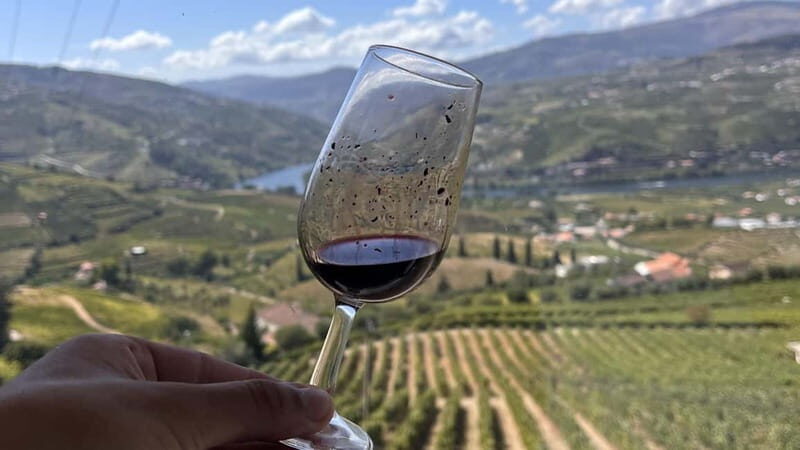 From Porto: Tastings at 2 Wineries, Chef's Lunch & Boat Tour - Final Thoughts