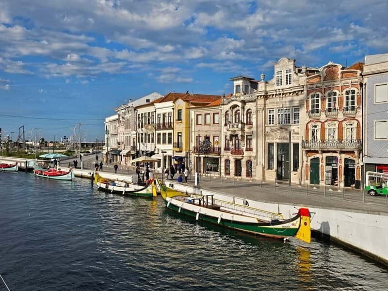 From Porto to Aveiro: Cruise, Aves, Salinas, Costa Nova, and Vista Alegre - Key Points