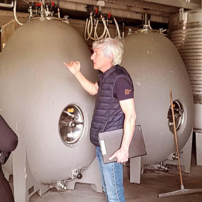 From Porto to Minho: Vinho Verde with Lunch and a Visit to 100% Organic Producers - Key Points