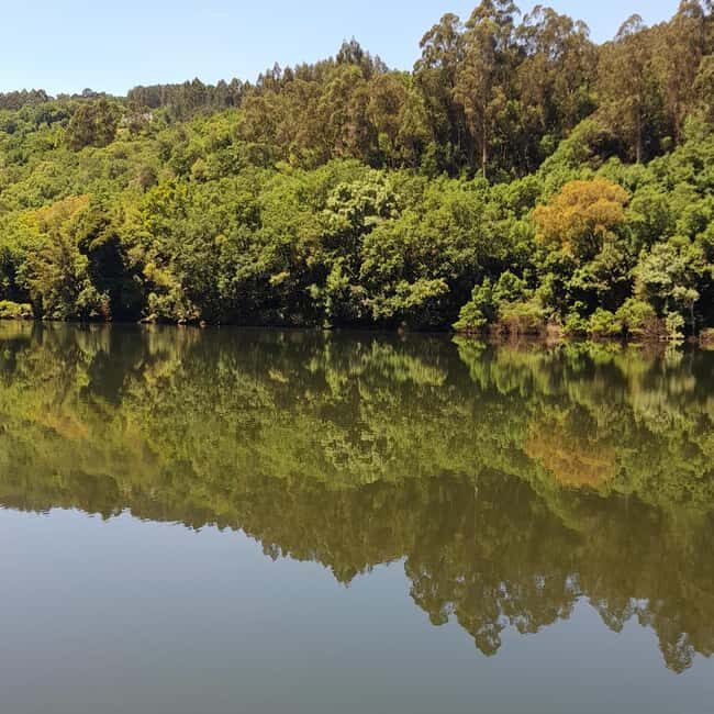 From Porto to Minho: Vinho Verde with Lunch and a Visit to 100% Organic Producers - The Coastal Charm of Viana do Castelo