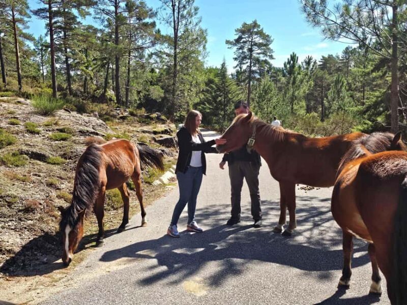 From Porto to Peneda-Gerês National Park - Key Points