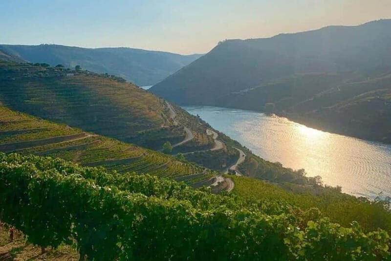 From Porto: Valle del Duero Full-Day Private Tour - What to Expect from the Douro Valley Private Tour