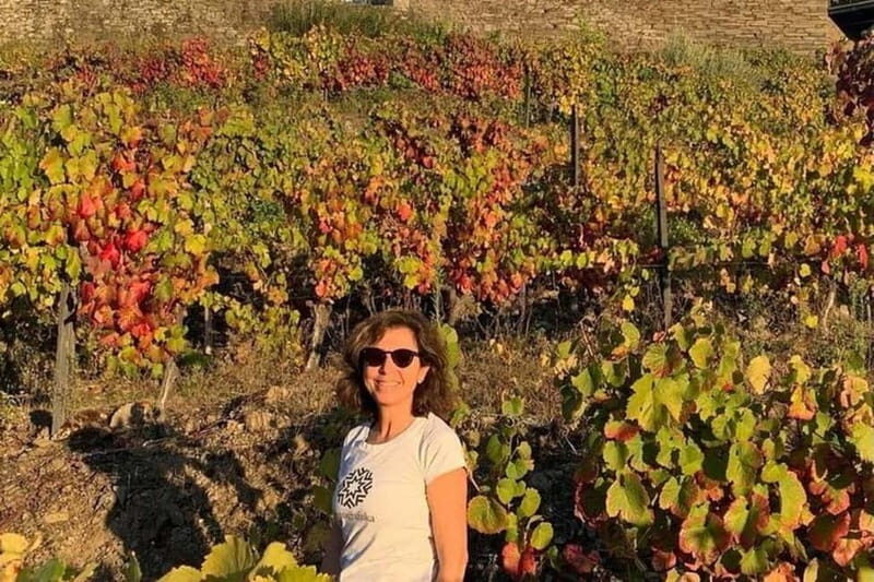 From Porto: Valle del Duero Full-Day Private Tour - Final Thoughts: Is It Worth It?