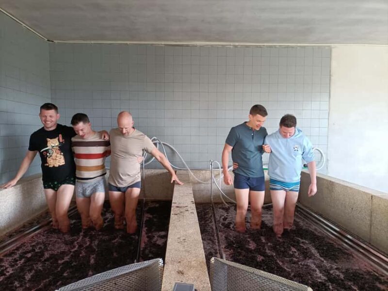 From Porto: Wine and Culture Journey to Lisbon - Real User Feedback