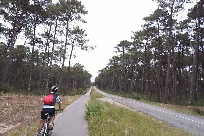 From Porto with view to Gaia: Private Bike Tour #DuckSideOfPorto - Final Thoughts