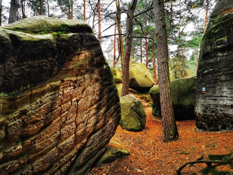 From Prague: Bohemian Paradise - Full-Day Hiking Trip - A Detailed Look at the Bohemian Paradise Full-Day Hiking Tour