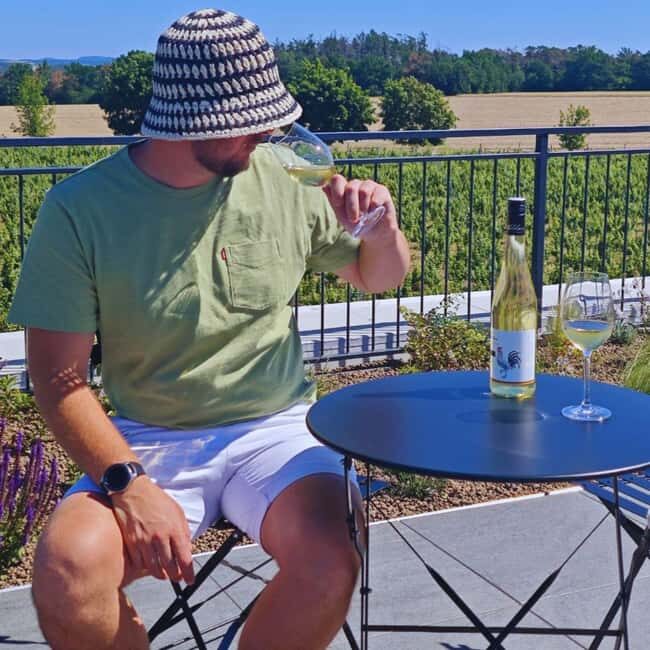 From Prague: Gastronomy Trip  Wine, Beer, Food & Castles - Key Points